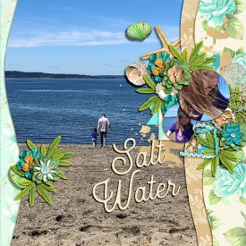 salt-water1.jpg