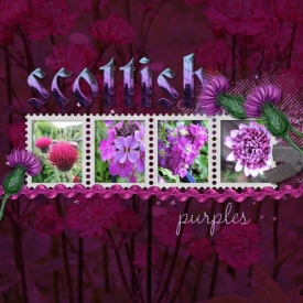 scottish_purple.jpg