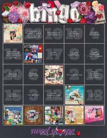 sddbingofeb.jpg