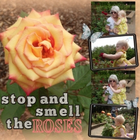 smell_the_roses.jpg
