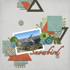 snowbird.jpg
