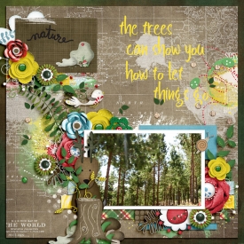 treeschall-700.jpg