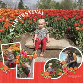 tulips2.jpg
