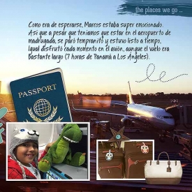 viaje_en_avion_-_der.jpg