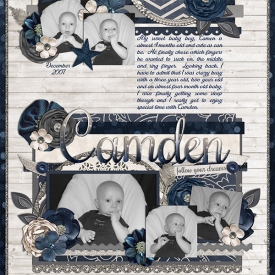 wc_lookingback_Camden.jpg