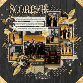 wc_scorpionbasketball_2016.jpg
