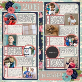 wc_yearinreview_2015.jpg
