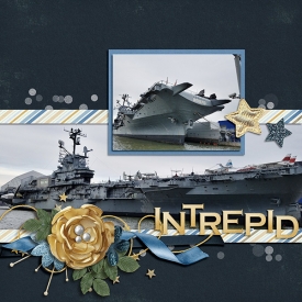 web_intrepid.jpg
