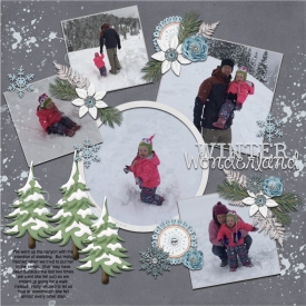 winter_wonderland6.jpg