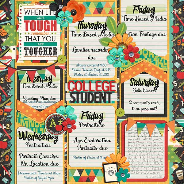 wc_Nov_collegestudent2015