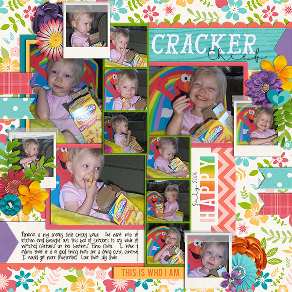 wc_crackerthief