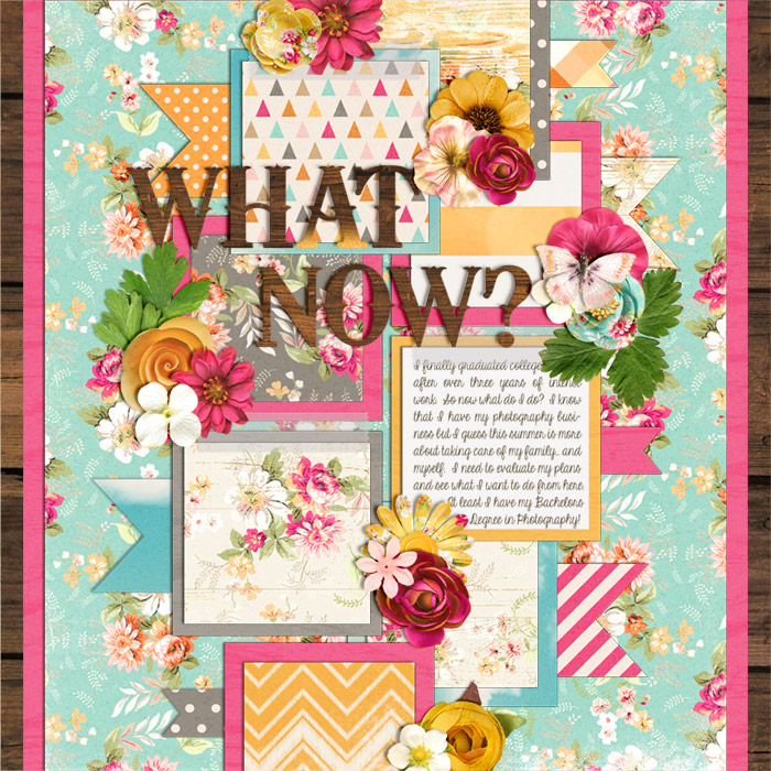 wc_whatnow_2017summer