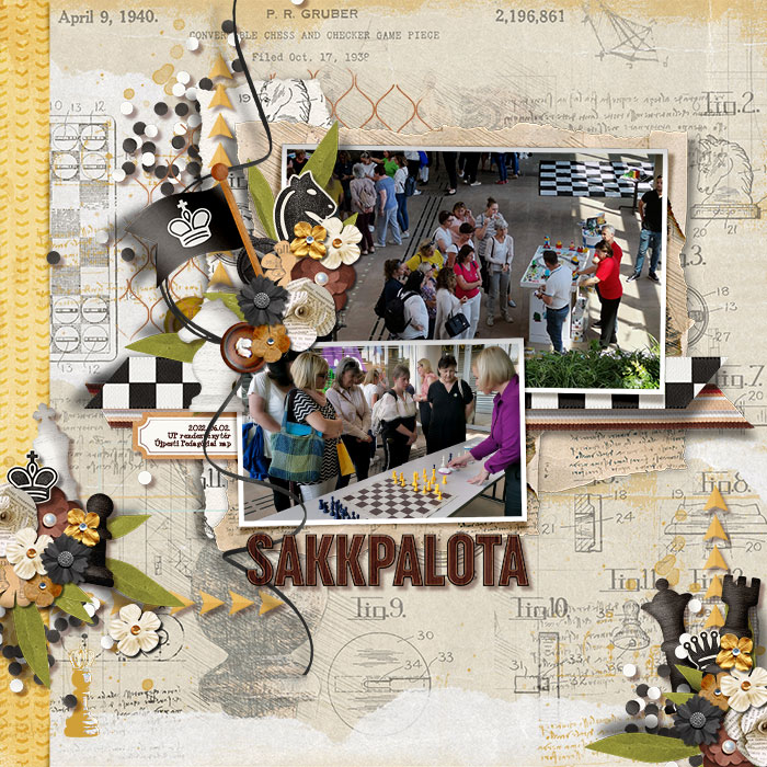 06_02_sakkpalota
