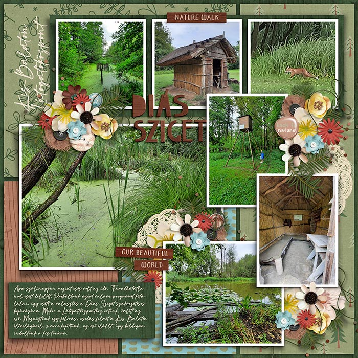 08_05_kisbalaton