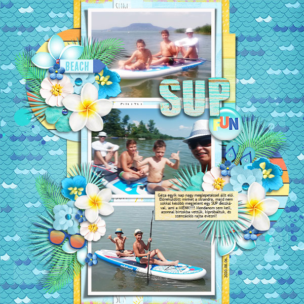 08_06_sup