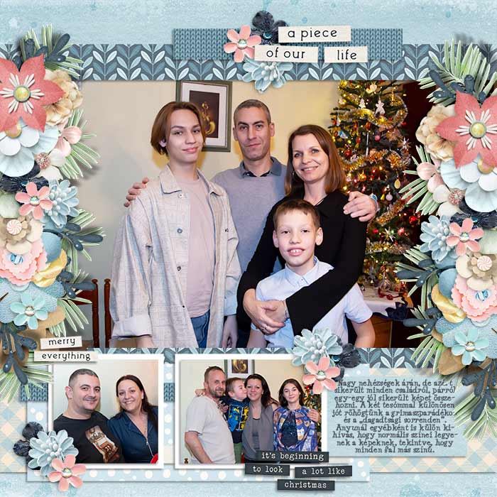 12_26_anyunal2_tinci
