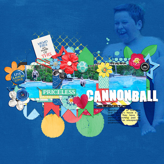 2015_CANNONBALL