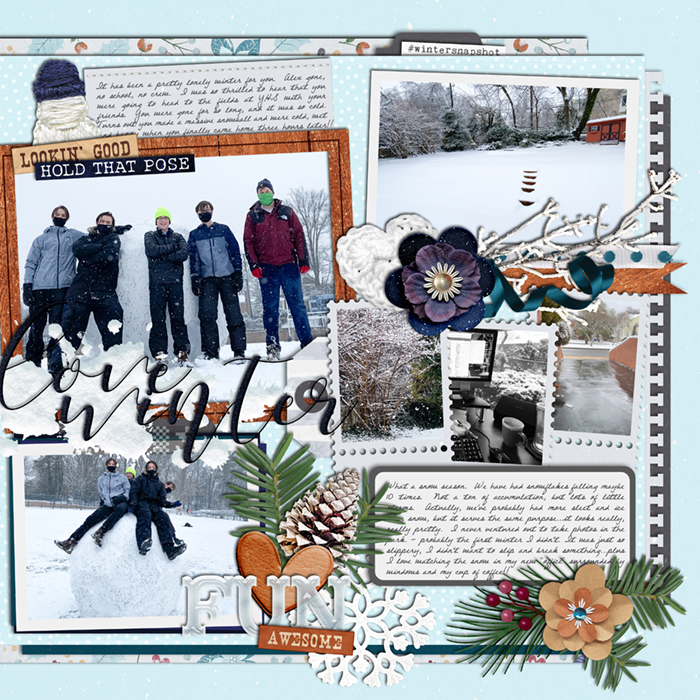 2021_2a_FinallySnow_p2alt700w