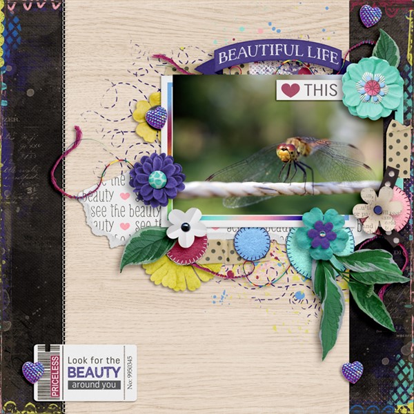 Look-for-the-beauty600