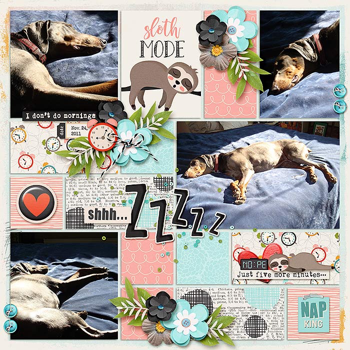 Rascal2011ZZZ_web