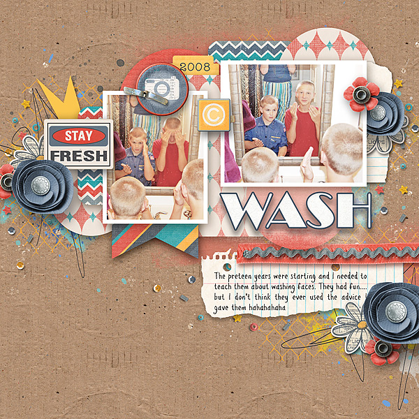 WashWEB