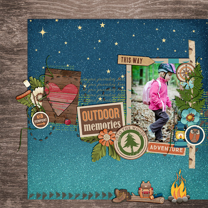 bg_intothewild_Lile1