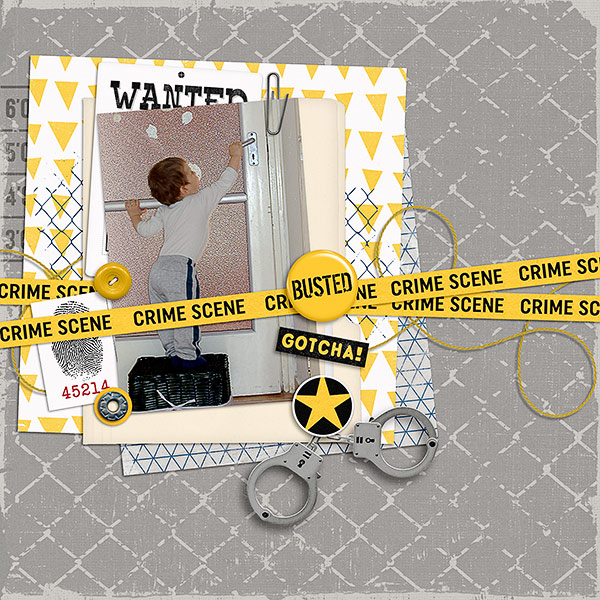 busted6