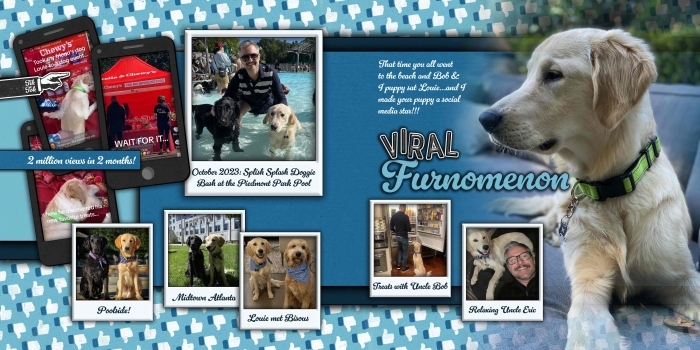 Viral Furnomenon