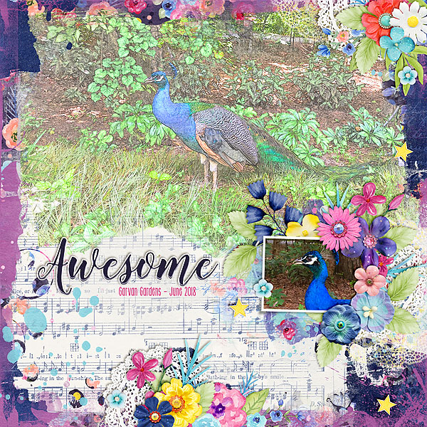 peacockHSA-inspired-to-create-B-copy