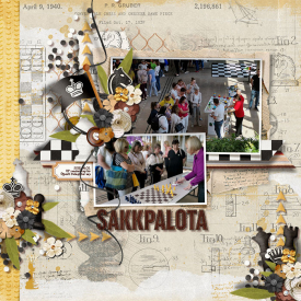 06_02_sakkpalota.jpg