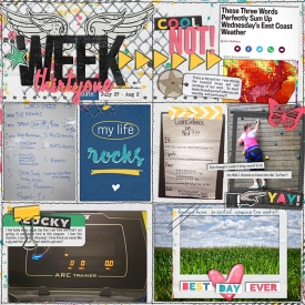 2015_week31a700w.jpg