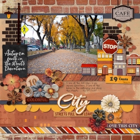 2018-10-28-citystreetsfullwithleaves_sm.jpg