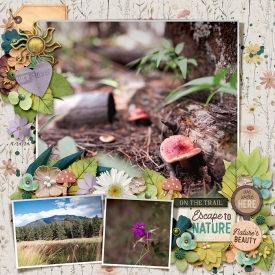 2024-08-24-onthetrailescapetonature_sm.jpg