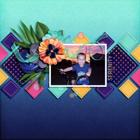 700ssdbg_summersunset_pp4.jpg