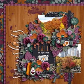 DSD_sserenity_autumnal_fallsnapshots-tripscoop.jpg