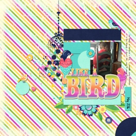 Like_a_Bird_big.jpg