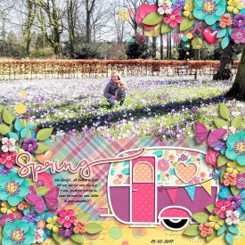 Spring_copy1.jpg