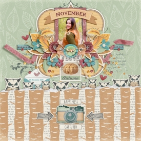 bg_november_anelia.jpg