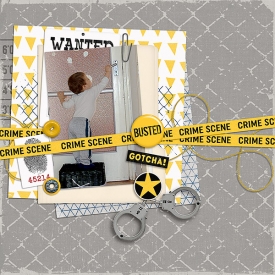 busted6.jpg