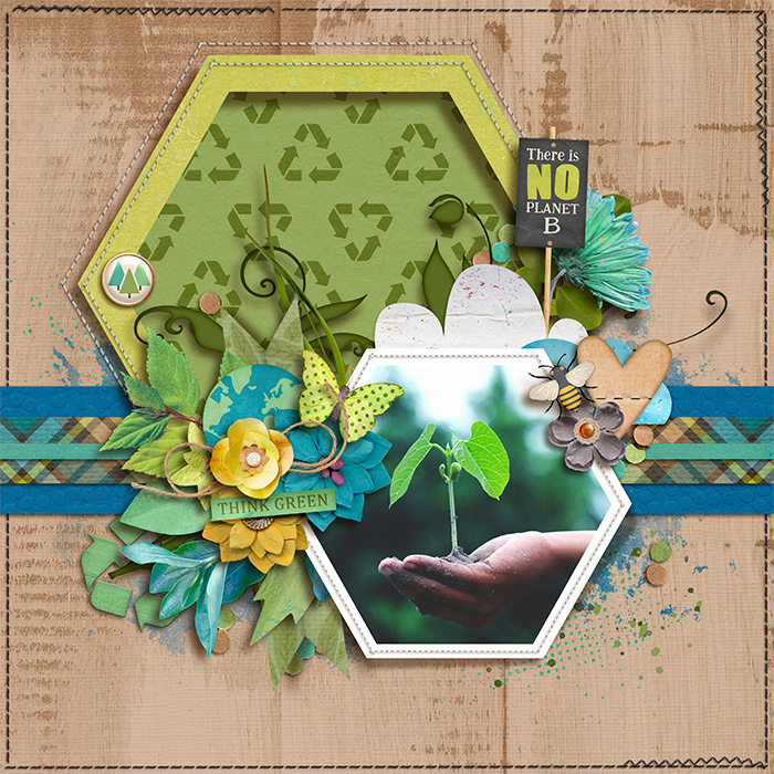 tnp-TAKINGSHAPE-pd2