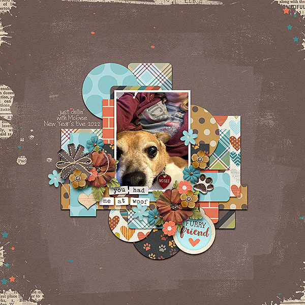 wetnosewarmheartweb