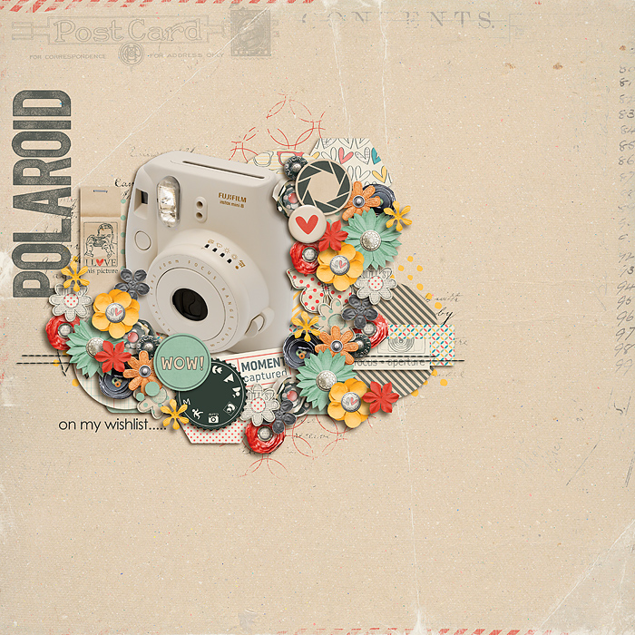 wishlistpolaroidFLAT700