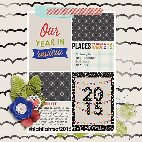 2015-in-review-copy