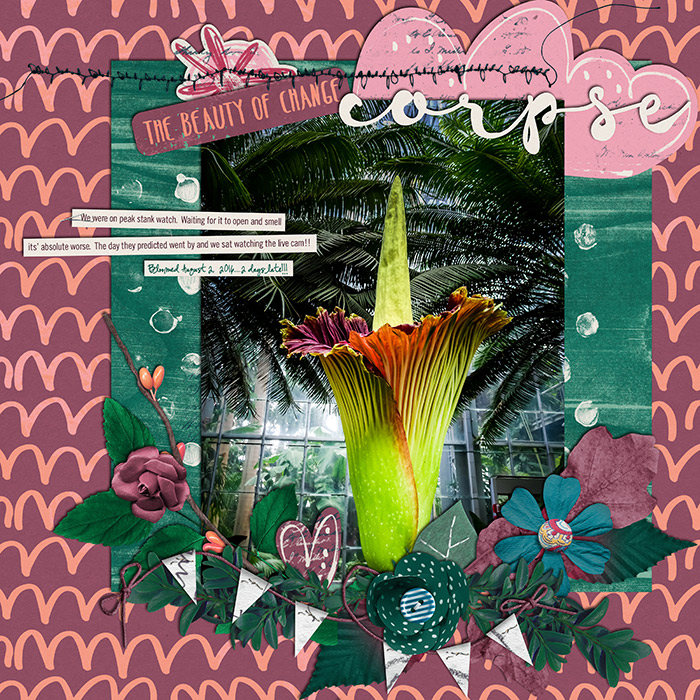 2016_week31e700w