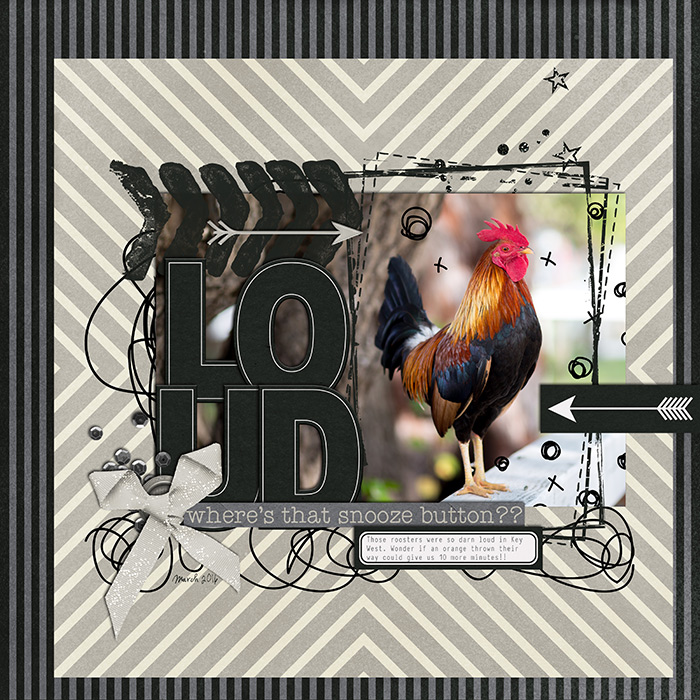 35_2016_loudrooster700w