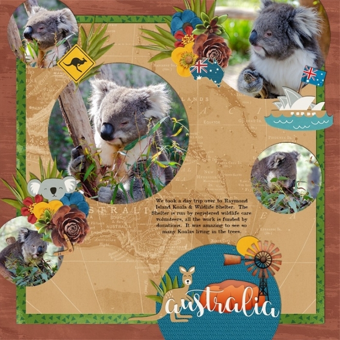 Koala_Park