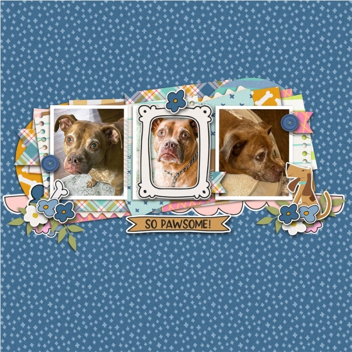 Doggone cute