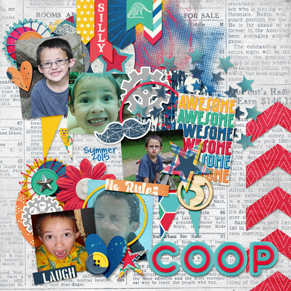summer-2015-coop-sm