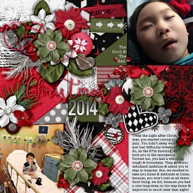 141227_j_twas.jpg