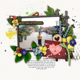 150916_j_gardenofwonder.jpg